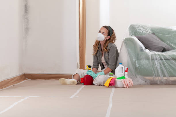 Reliable Mold Remediation contractor in Washougal, WA by WQB Mold Removal
